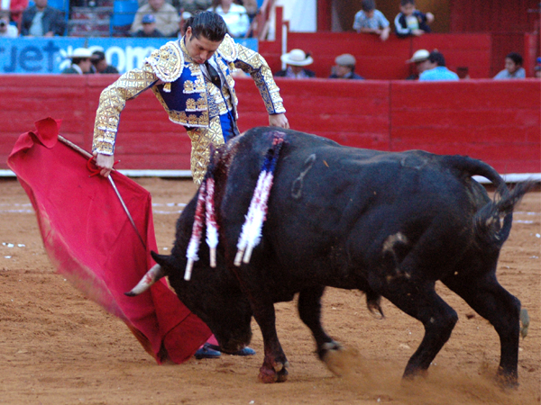 Vitolina en los inicios   (T.A)