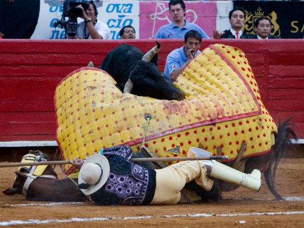 Espectacular tumbo  (S.H)