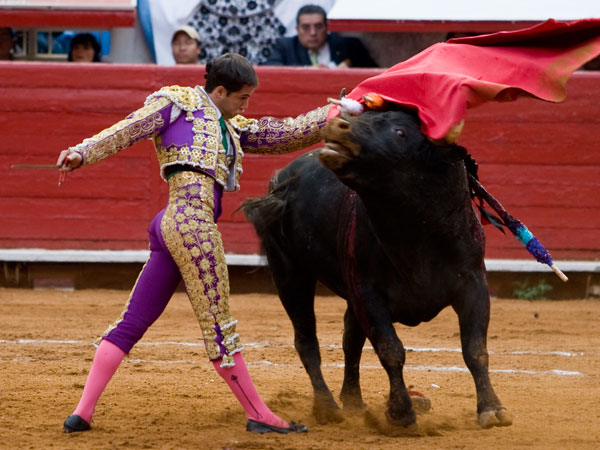 De pecho de Orozco (S.H)