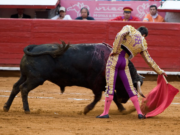 Con la derecha  (S.H)