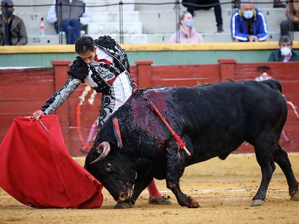 Buen pit�n derecho