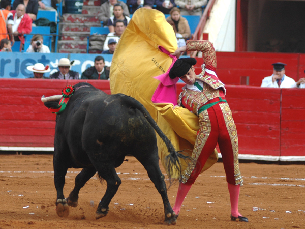 Faroles tapat�os 1  (T.A)