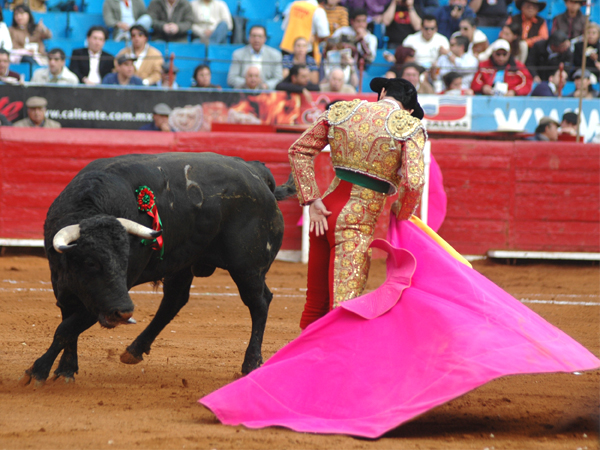 Elegante remate   (T.A)