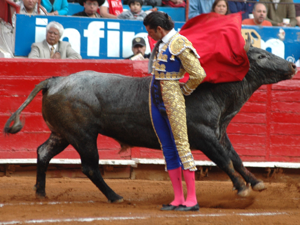 Expuesta manoletina de Ochoa  (T.A)