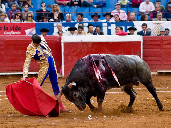 Mano muy baja  (S.H)