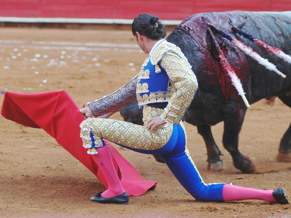 Elegante dobl�n (T.A)