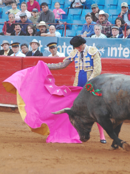 Ver�nica de Ochoa  (T.A)