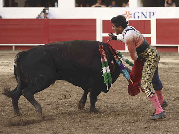 Oficiando en la suerte suprema