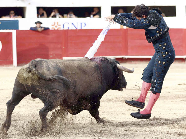 Maestro banderillero