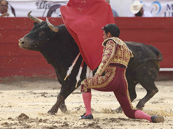 Remate rodilla en tierra