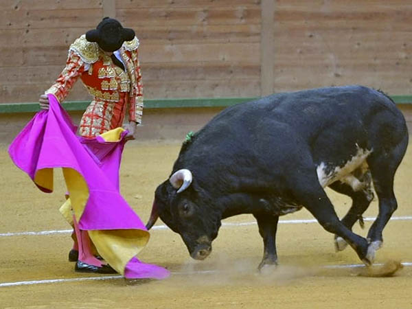 DIosleguarde cosech� un ap�ndice