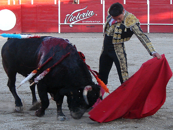 La muleta por la arena