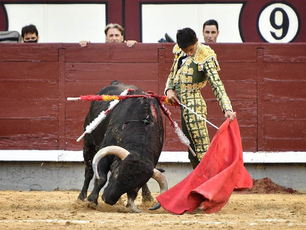 Reposo en los ayudados