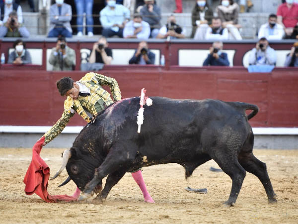 Determinacin y actitud