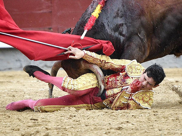 A merced del ejemplar