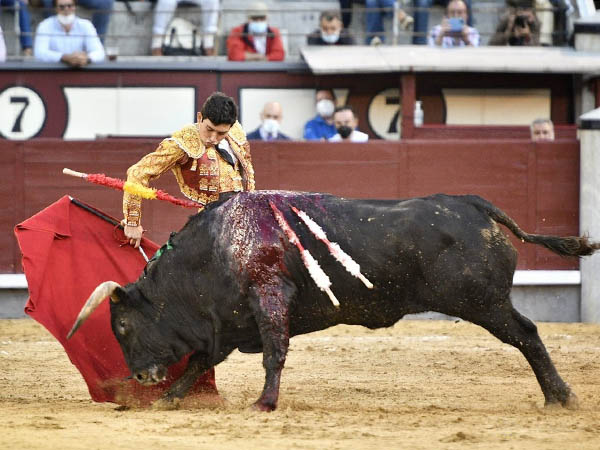 Repertorio de muleta