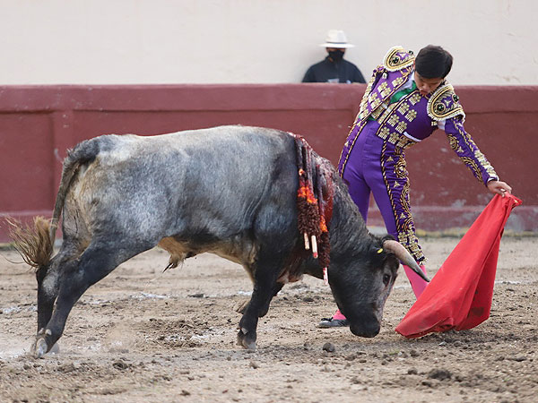 Dibujando al natural