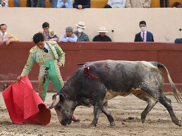Una tarde en torero