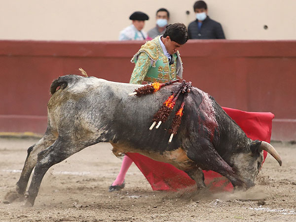 Meti�ndolo a la muleta