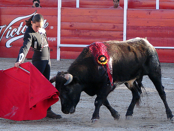 El enga�o, bien cuadrado