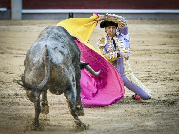 Un lote de buena condici�n