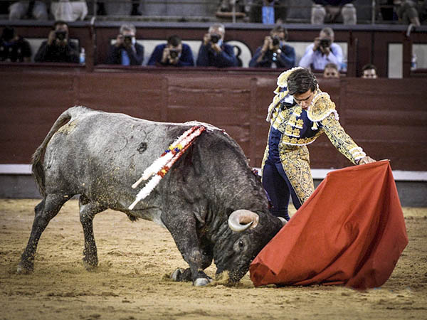 Ejemplar hondo, muy en el tipo