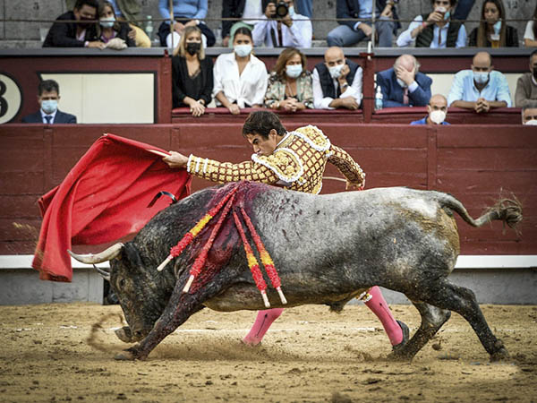 Pocas posibilidades en su lote