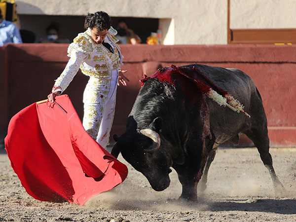 Apuntando el toreo bueno