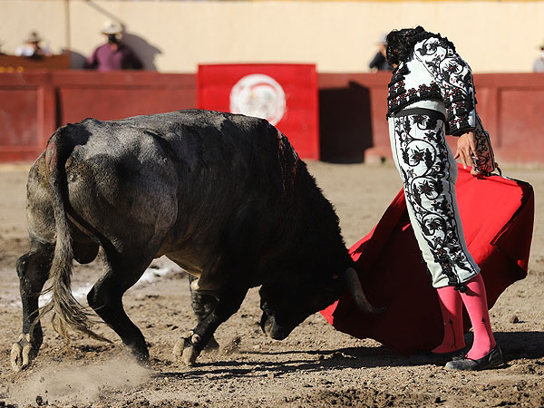 Calidad en la embestida