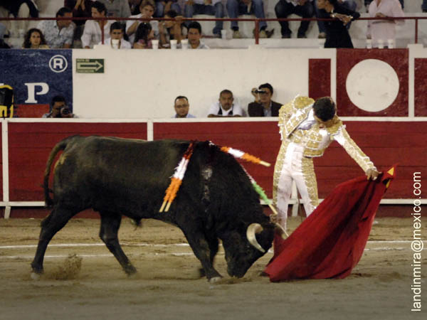 Embebido el toro en el enga�o