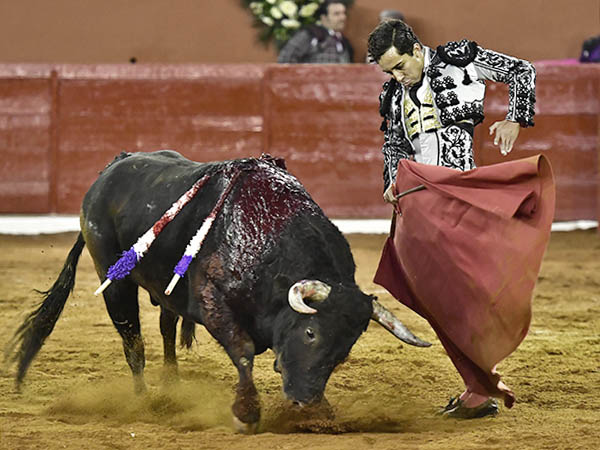 Cuaj� dos buenas faenas