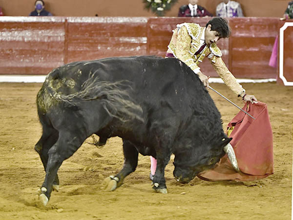 Ayudados de Luis David