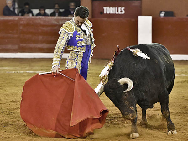 Repuesto del percance