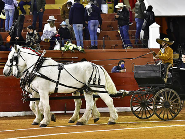 Noche de toros en SLP