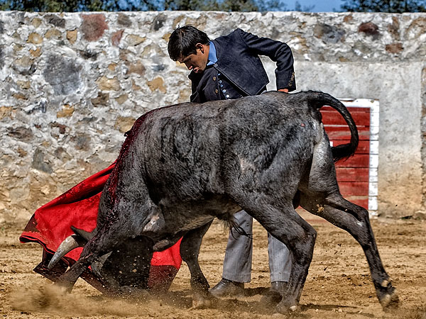 Joselito aprovech� al m�ximo