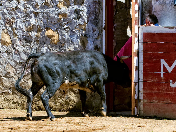 Se gan� el indulto a ley