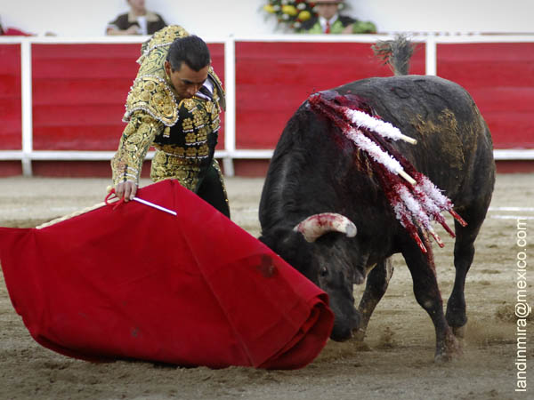 Zotoluco buen muletazo