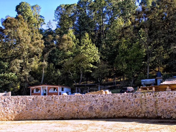 Para�so a mitad del bosque