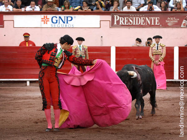 Variedad en los quites