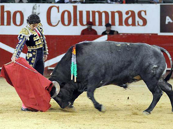 Cornada y oreja con el de regalo