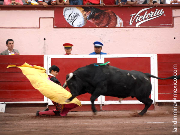 Jaleado por los paisanos