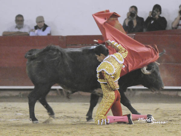 Par de manoletinas de hinojos