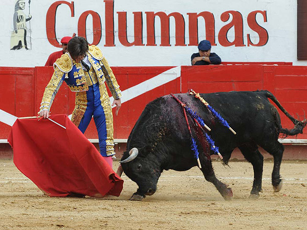 Vaya buen muletazo
