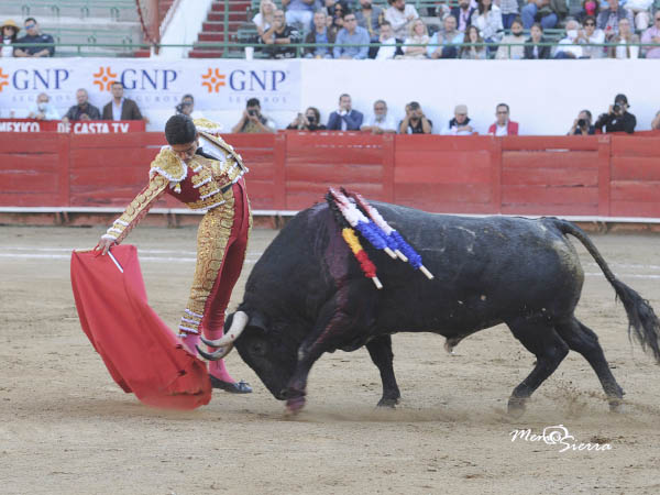 Nuevo matador