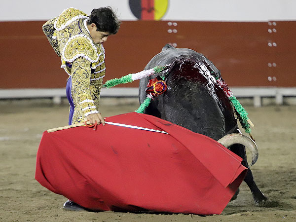 Logr� tandas valiosas