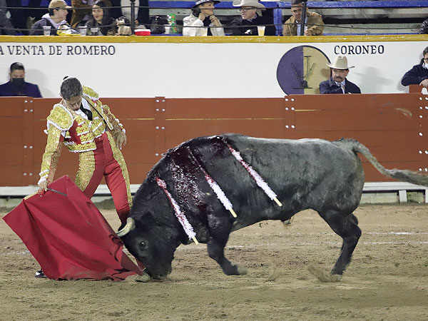 Torero de dinast�a