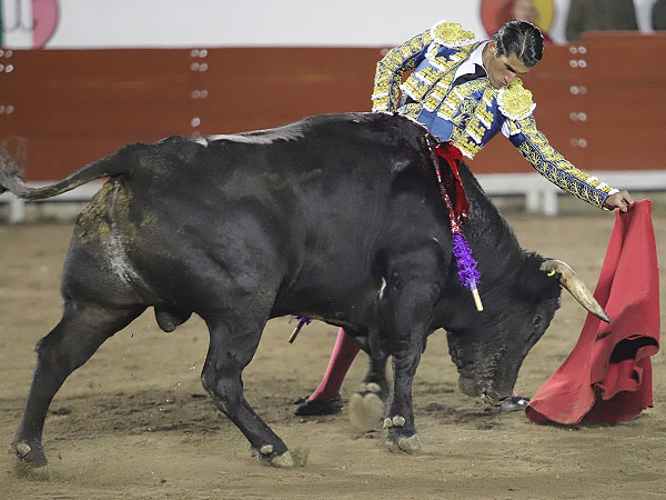 Torero de concepto