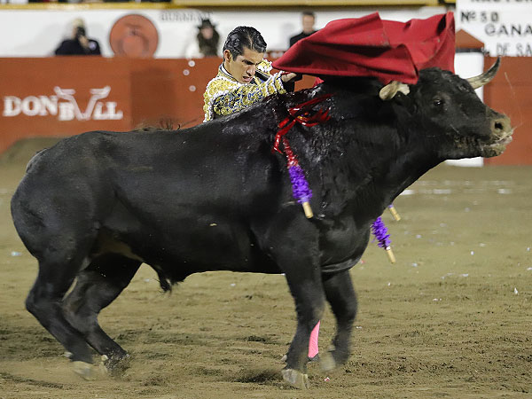 Calita iniciando por alto