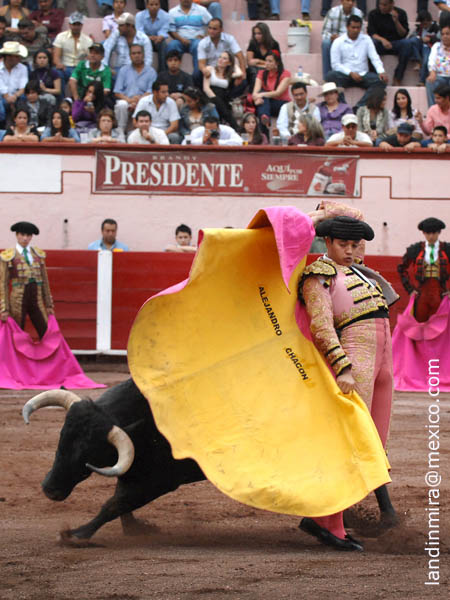 En la tierra de Calesero