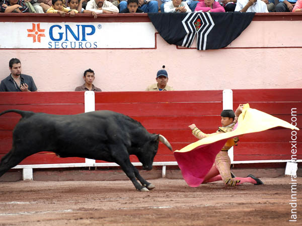 El saludo de Alejandro